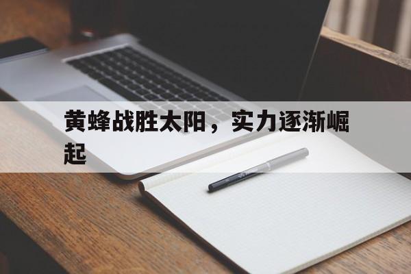 黄蜂战胜太阳,实力逐渐崛起的简单介绍